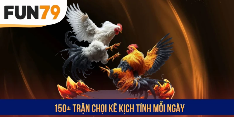 150+ trận chọi kê kịch tính mỗi ngày