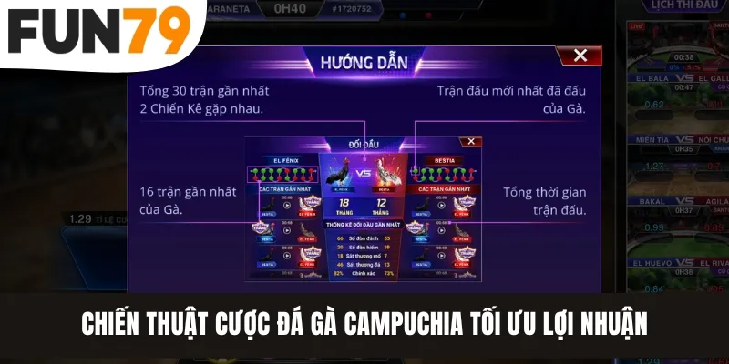 Chiến thuật cược đá gà Campuchia tối ưu lợi nhuận