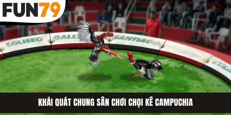 Khái quát chung sân chơi chọi kê Campuchia